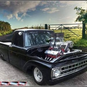 Meet your Posher, Preston